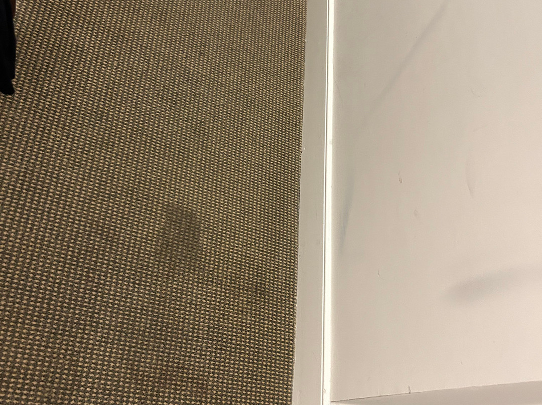 莫法特酒店主图