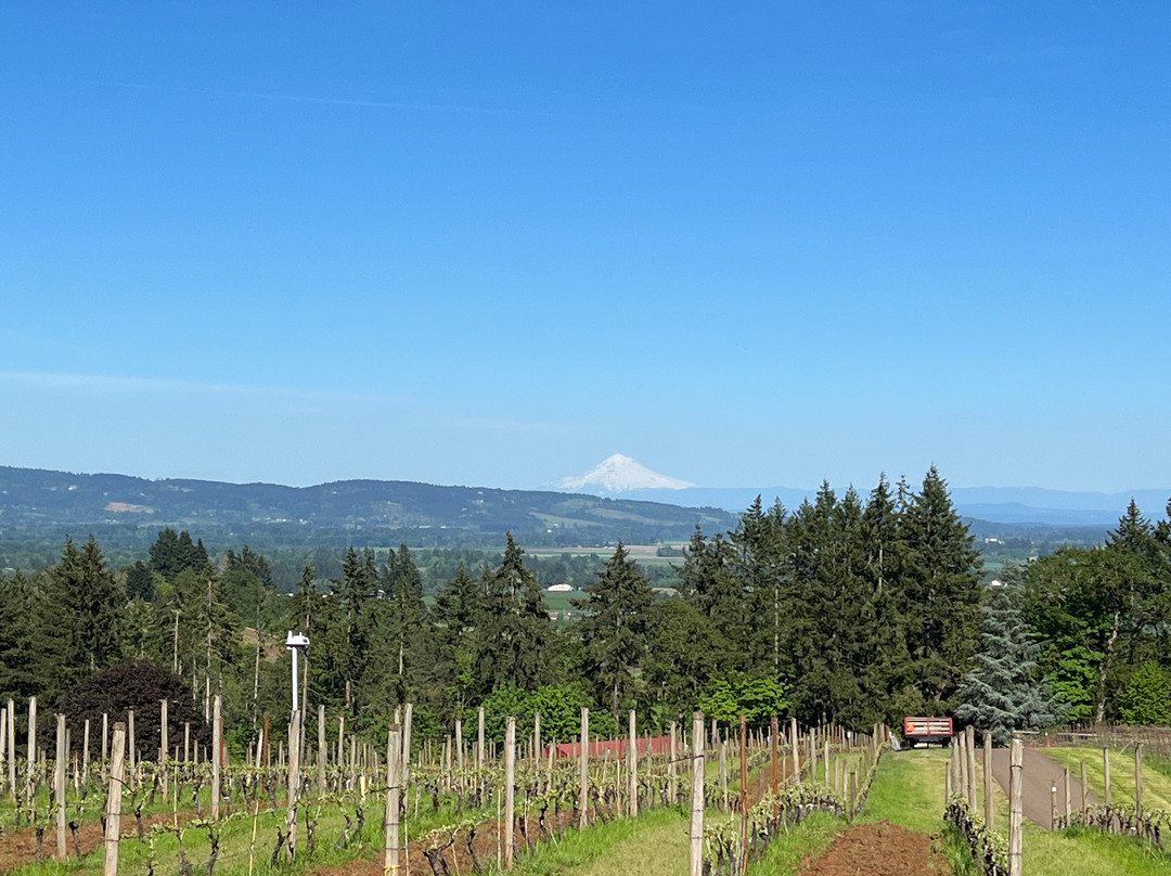 Durant Vineyards-Dayton必去景点