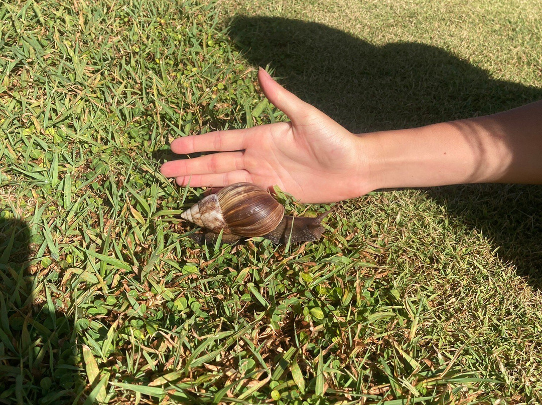 库库伊洛诺高尔夫球场-卡拉西奥必去景点