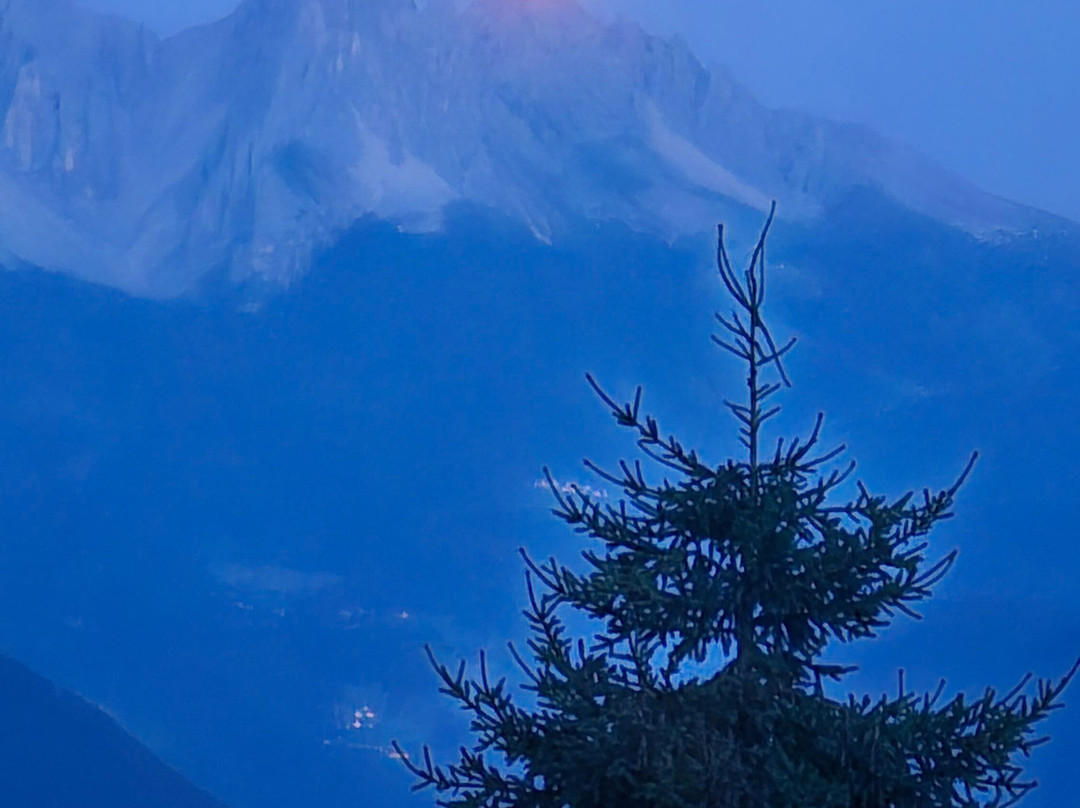 Gasthof Edelweiss主图