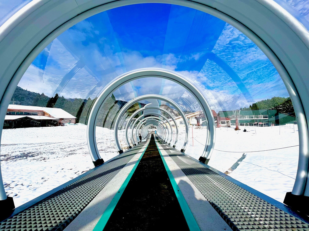 Wakasu Kogen Oya Ski Resort-养父市必去景点