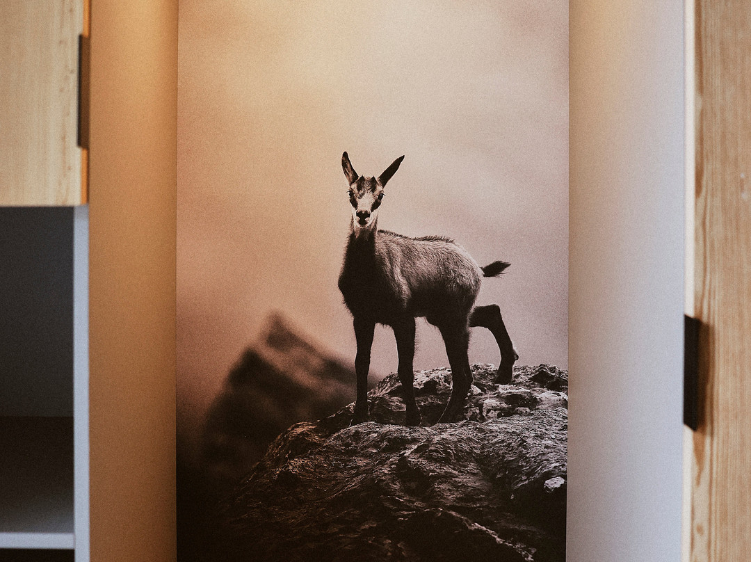 Albergo Vecchio Scarpone主图