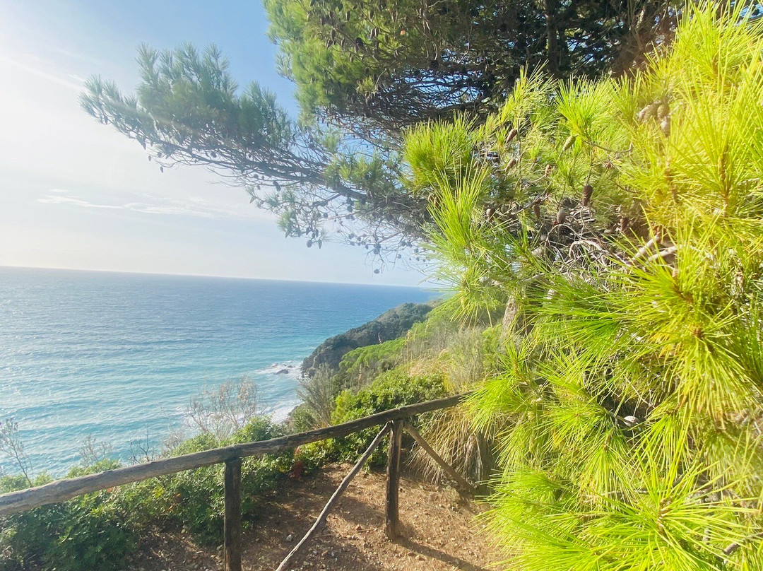 Spiaggia di Calamoresca景点图片