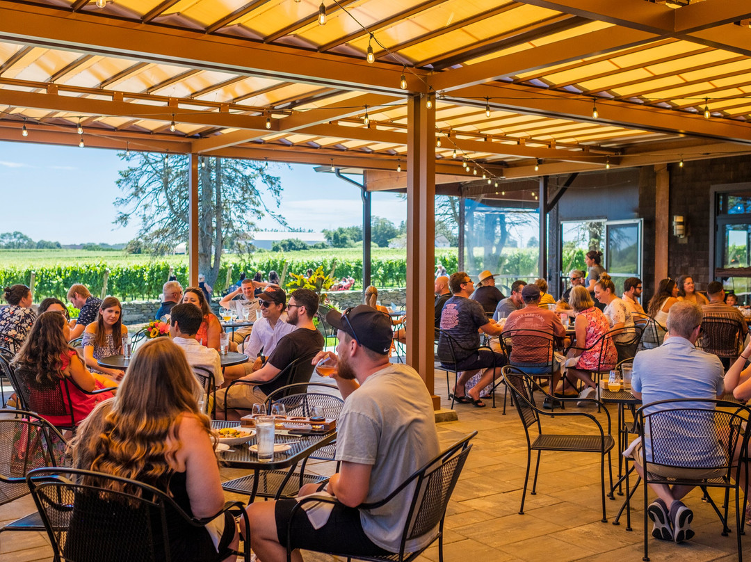 Newport Vineyards-米德尔敦必去景点