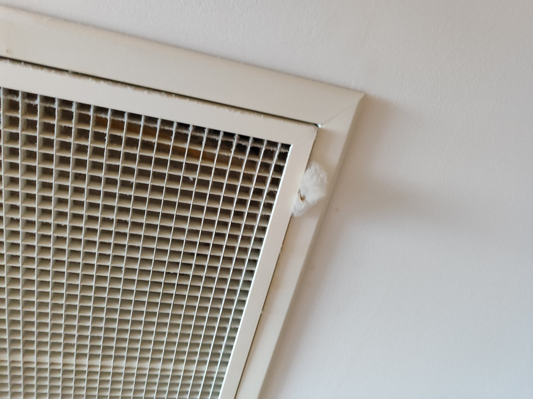 Noah's Ark Deluxe Hotel & Spa主图