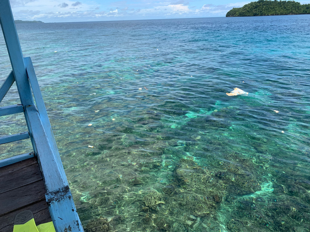 卡迪迪利天堂酒店主图