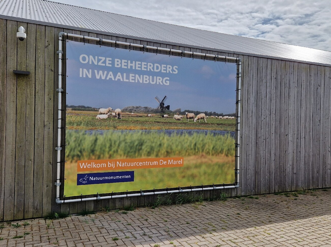 Natuurcentrum De Marel-De Waal必去景点