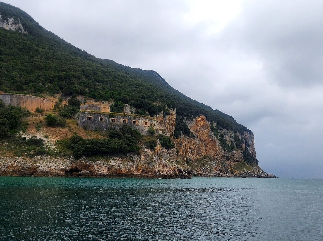 Excursiones Marítimas景点图片