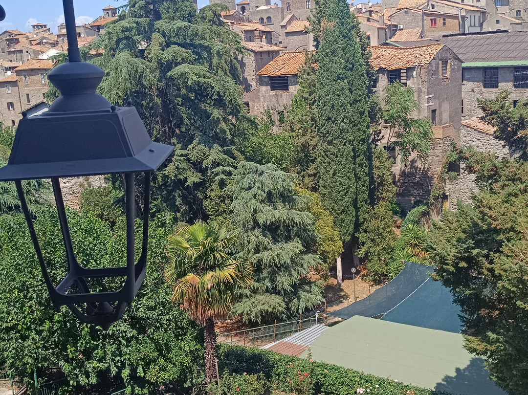 B&B Medieval House主图