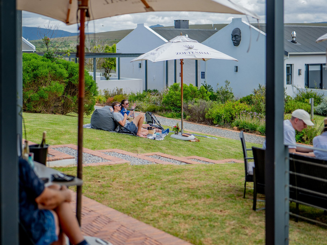 Zoetendal Vineyards & River Estate-Elim必去景点