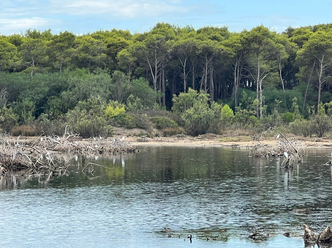 Lago Salinella景点图片
