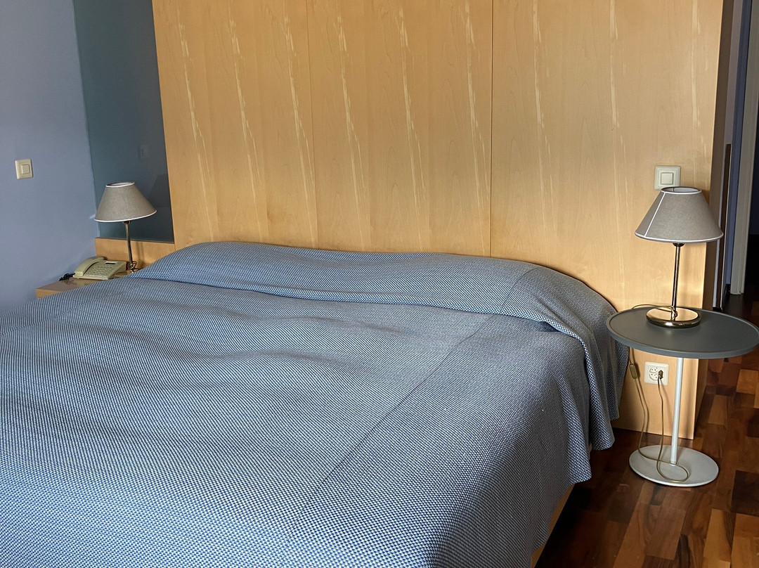 阿斯科纳酒店主图