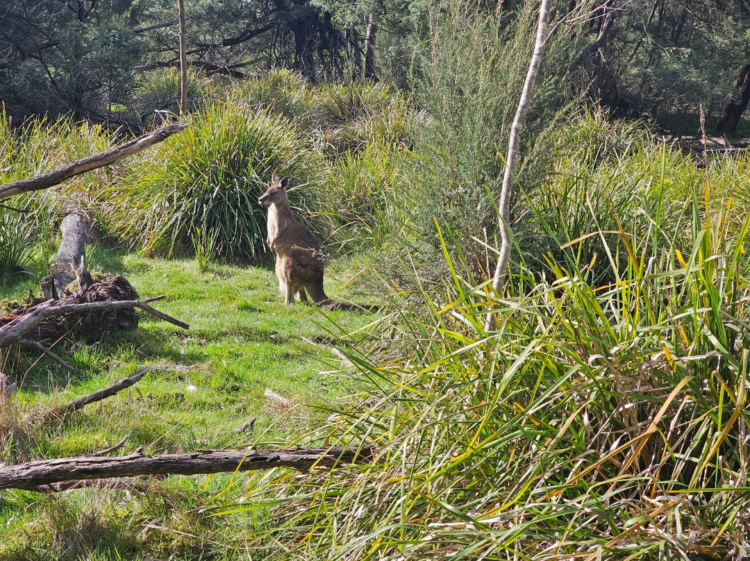 Lysterfield Park景点图片