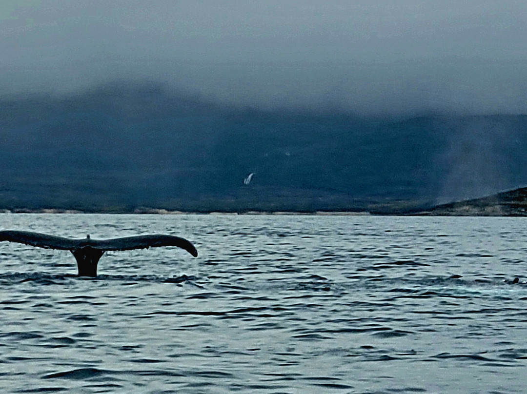 Greenland Backcountry景点图片