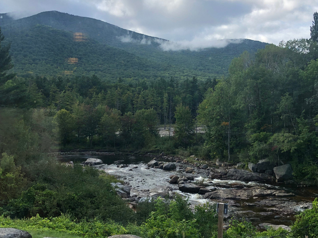 The Hungry Trout Resort主图