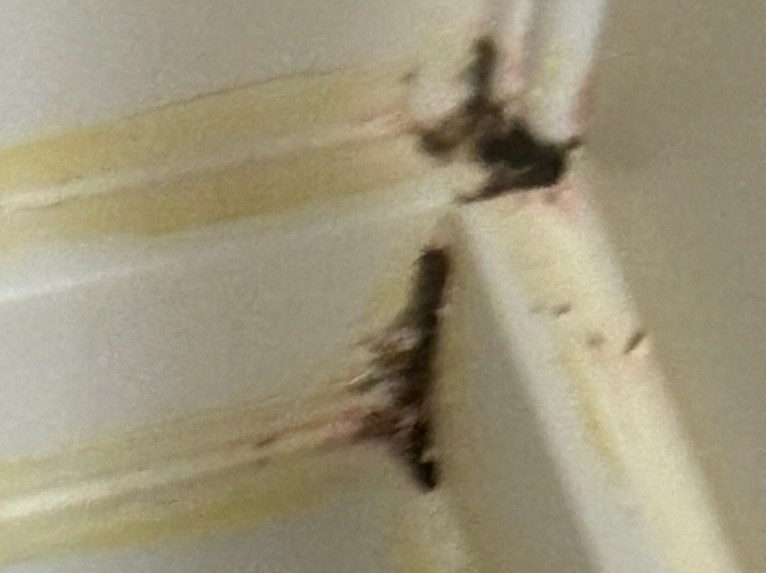 Hilton Garden Inn Rochester Downtown主图