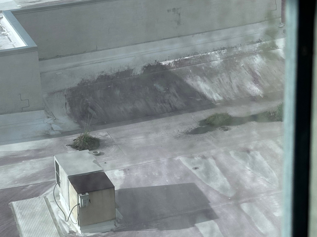 Embassy Suites by Hilton Brunswick主图