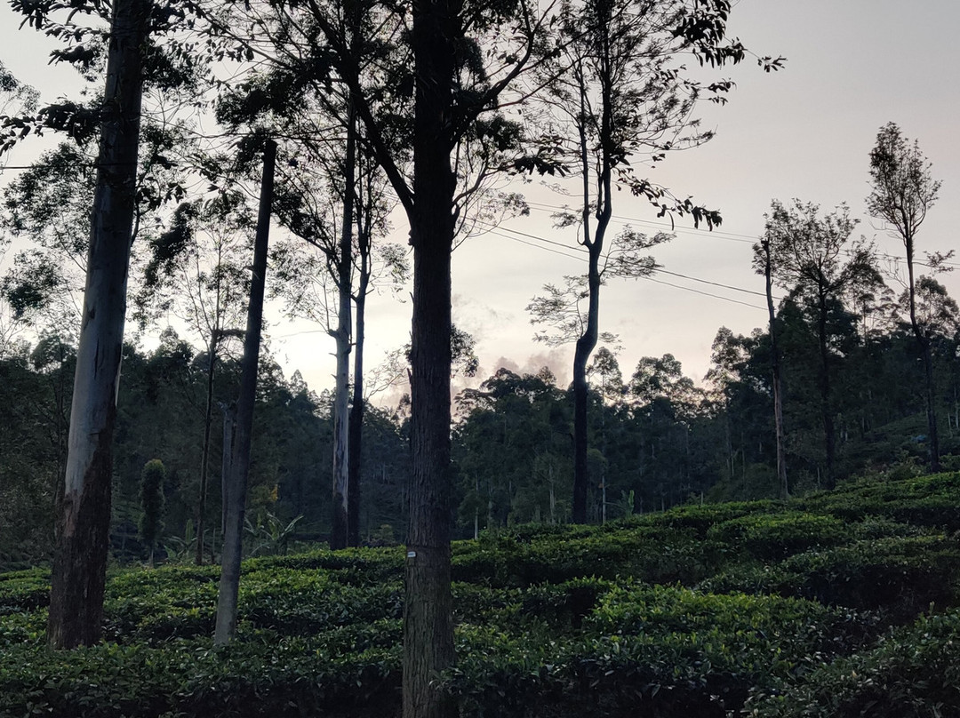 苏格兰种植者-格伦德文小屋主图