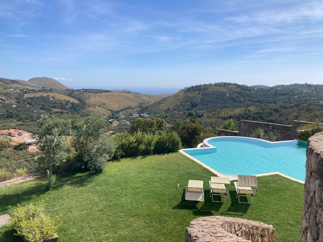 Collina degli Ulivi主图
