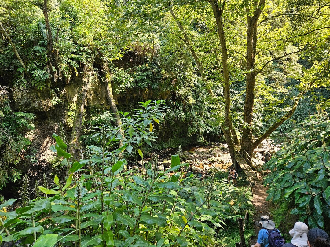 Trilho Moinho do Félix - Cascatas-Salga必去景点