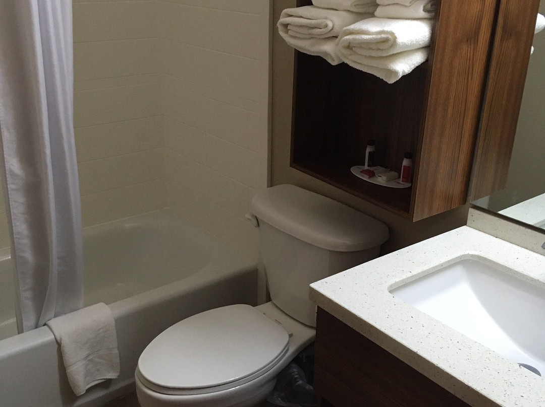 Microtel Inn & Suites by Wyndham Walterboro主图