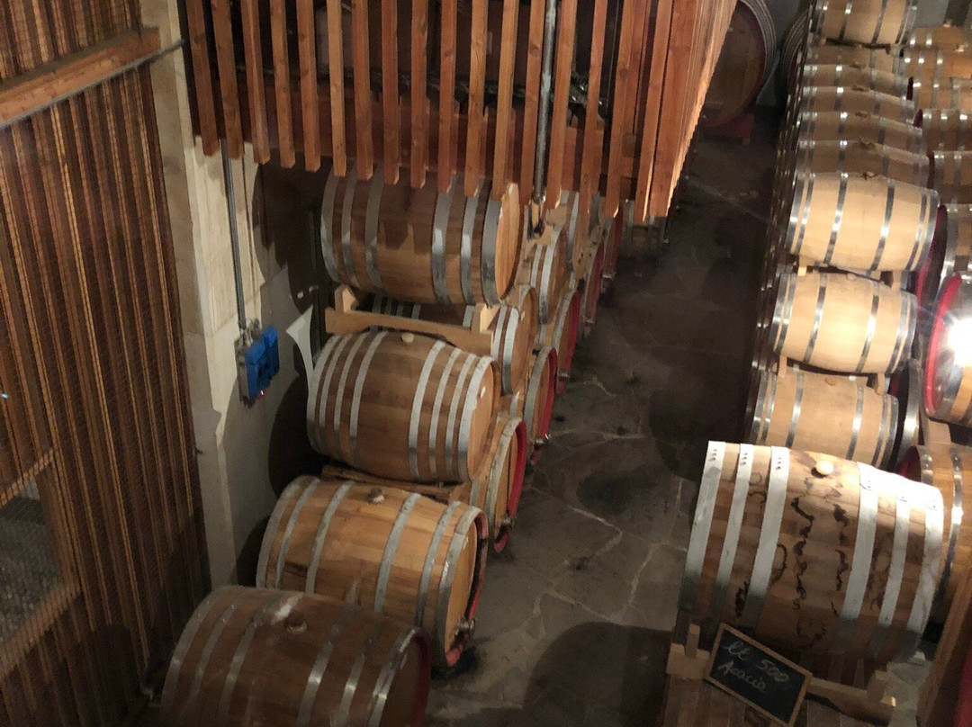 Distilleria Marzadro景点图片