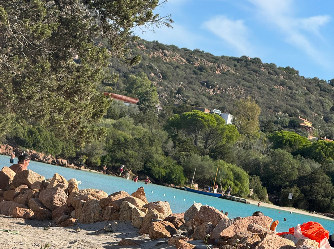 Park Hotel Porto Istana主图