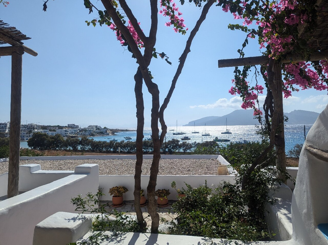 Apollon Koufonisia Studios主图