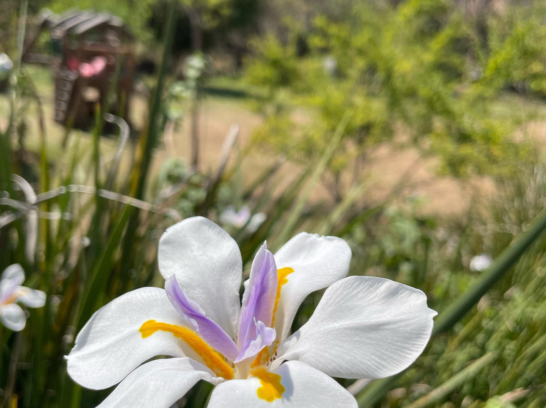 MaliKualli Complejo Ecoturístico-Malinalco必去景点
