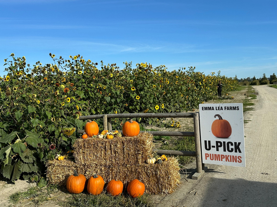 Emma Lea Farms-Delta必去景点