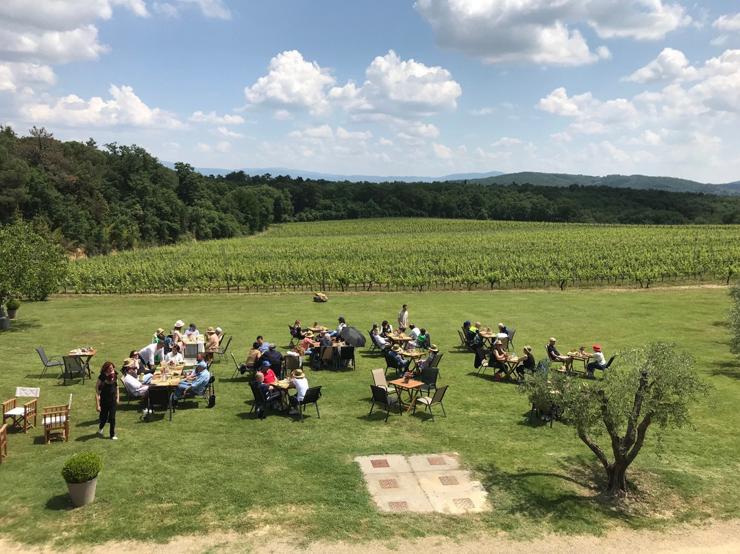 Cantina Tenuta La Pineta景点图片