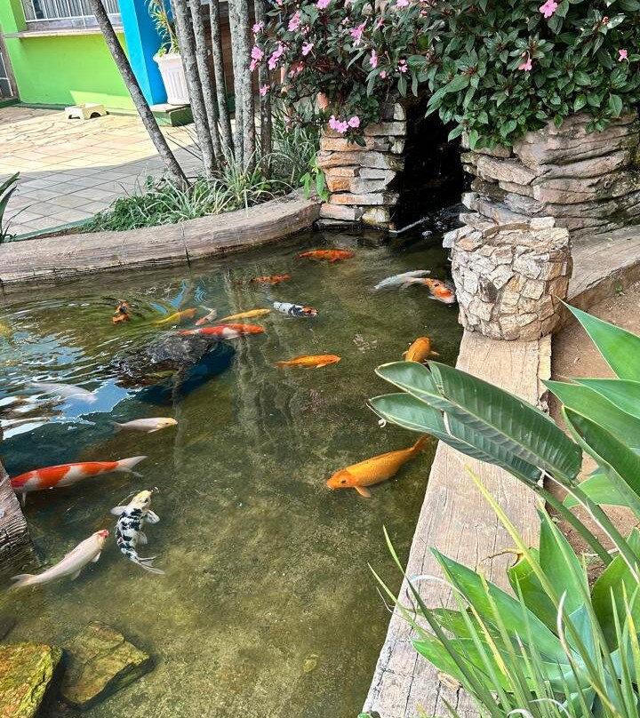Aldeia Das Aguas Water Park景点图片