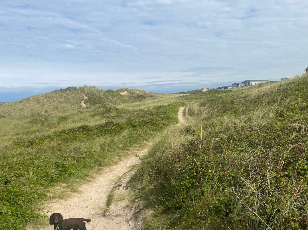 Cornwall Coast Path-圣艾维斯必去景点