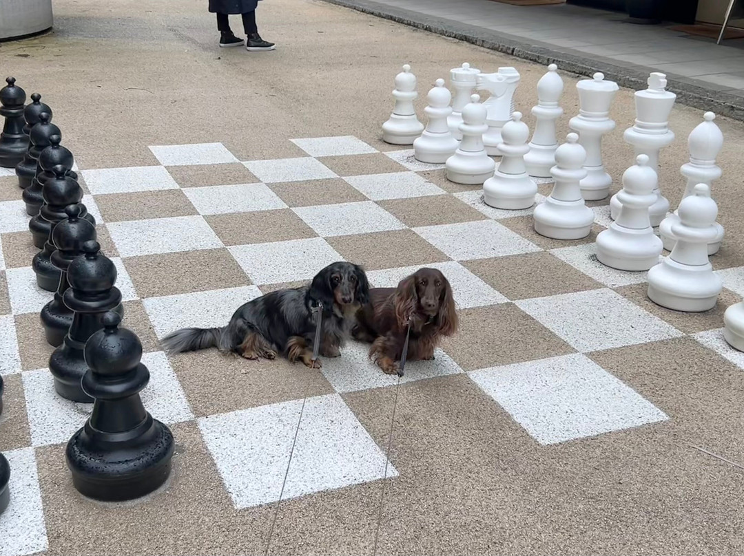 Giant Chess Boards-日内瓦必去景点