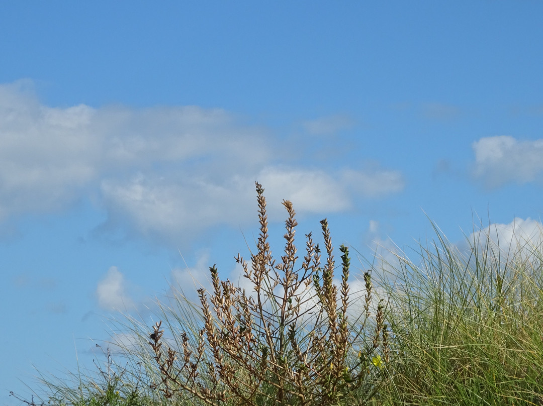 Plage de Cabourg-卡布尔必去景点