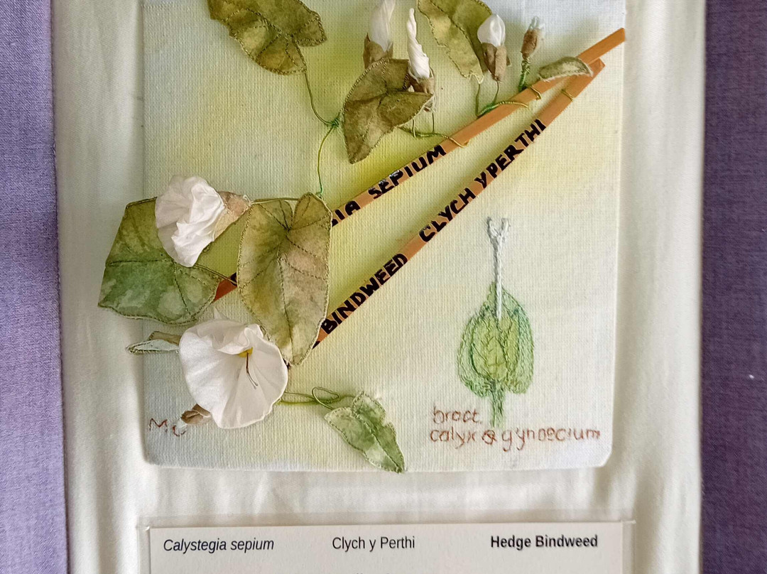 National Botanic Garden of Wales景点图片
