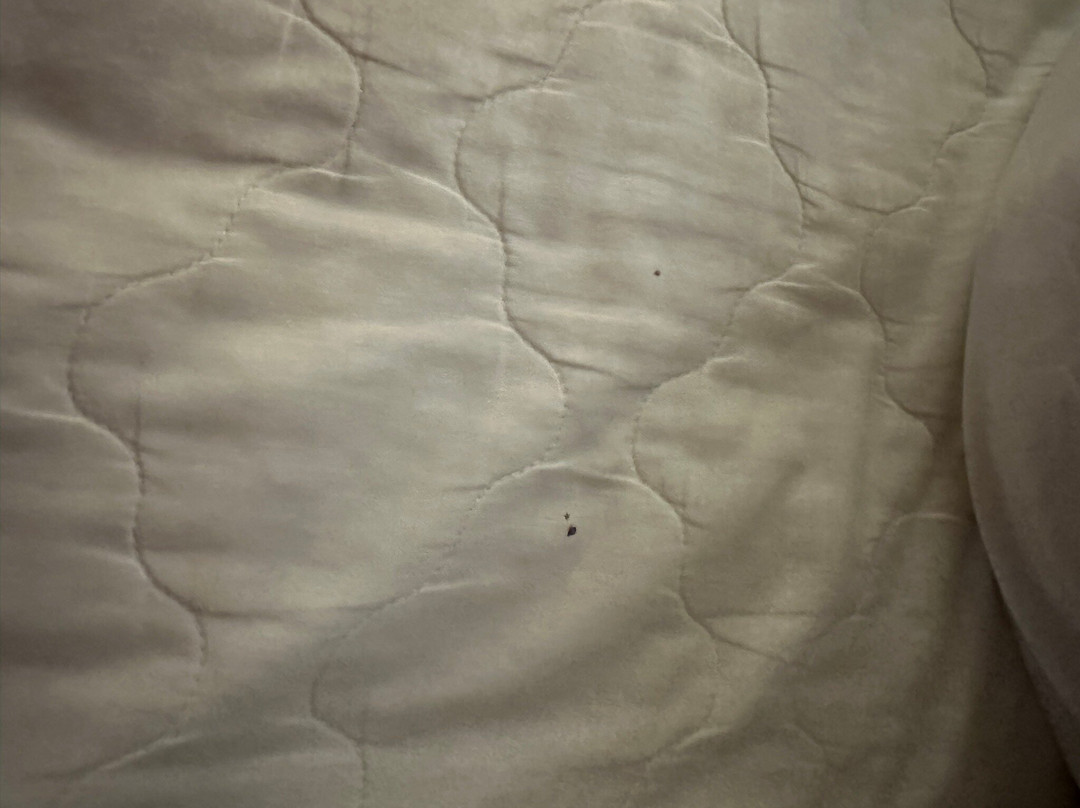 Quality Inn O'Fallon I-64主图