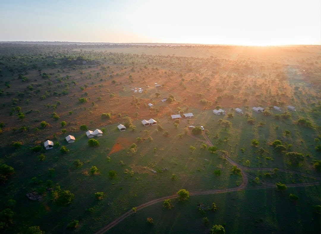 Migration Undercanvas