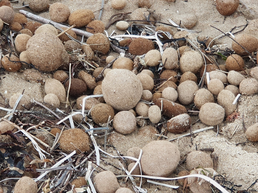 Basham Beach Conservation Park-Port Elliot必去景点