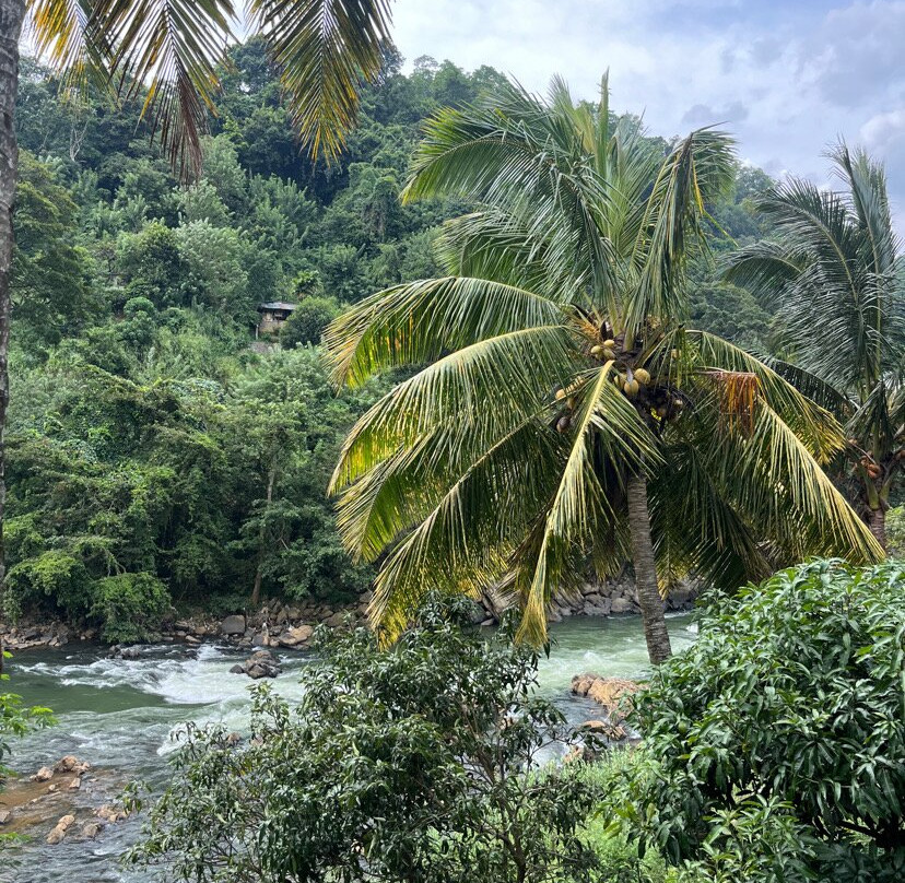 Sri lanka Ok Tours-康提必去景点