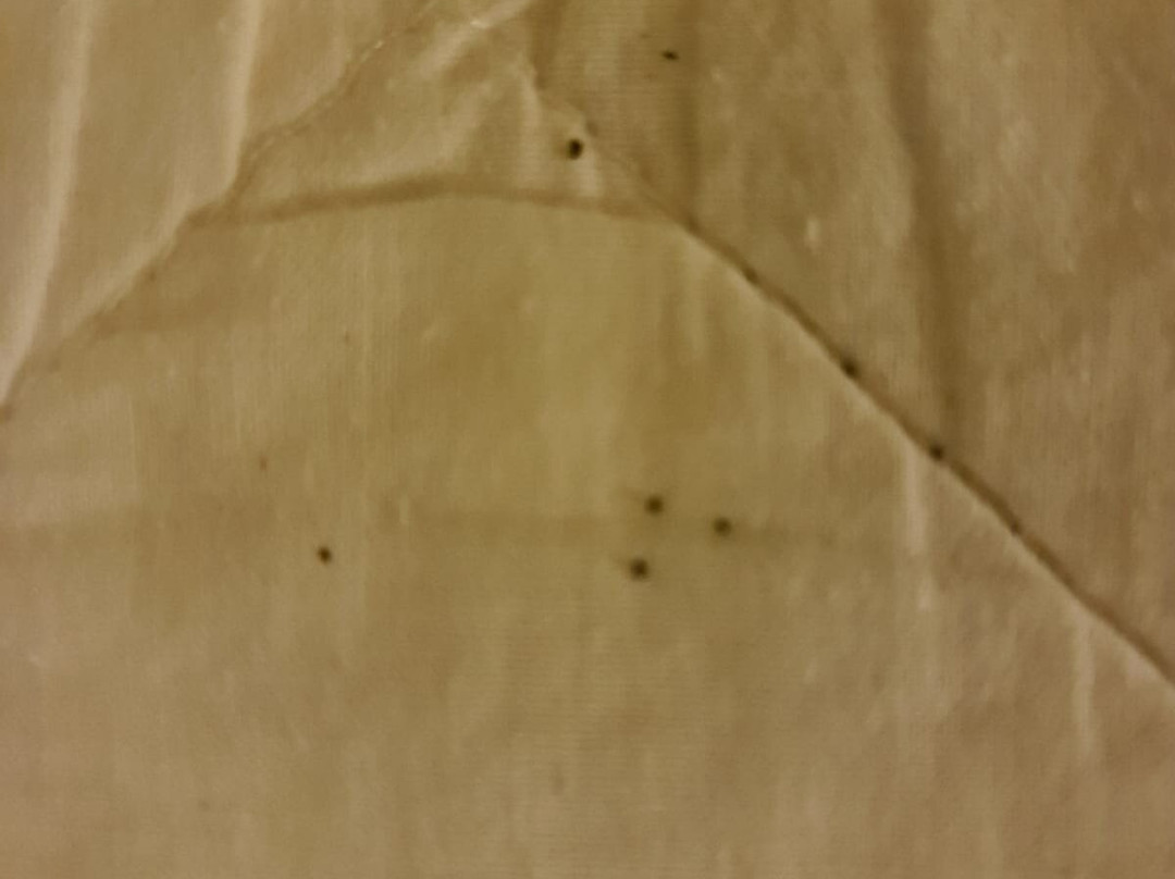 Broadway Park Hotel主图