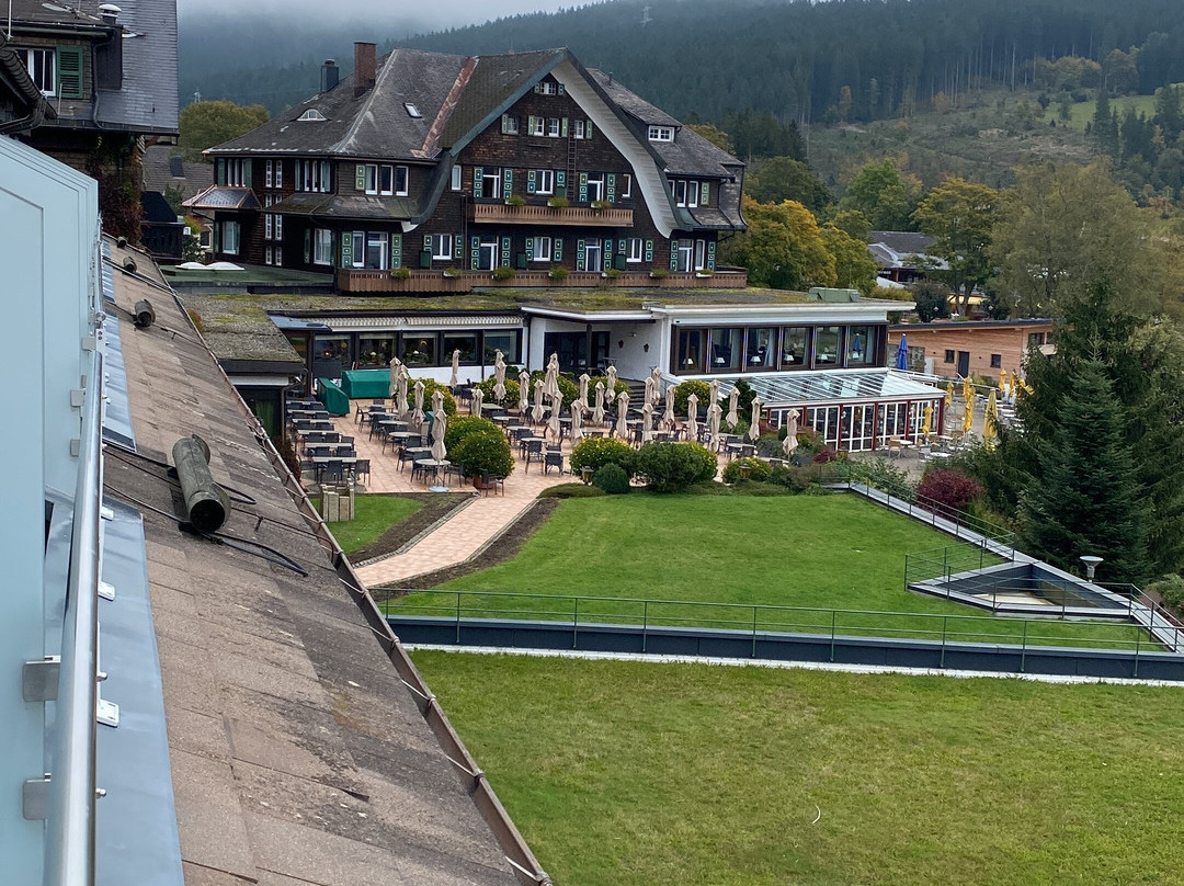 Treschers Schwarzwaldhotel主图