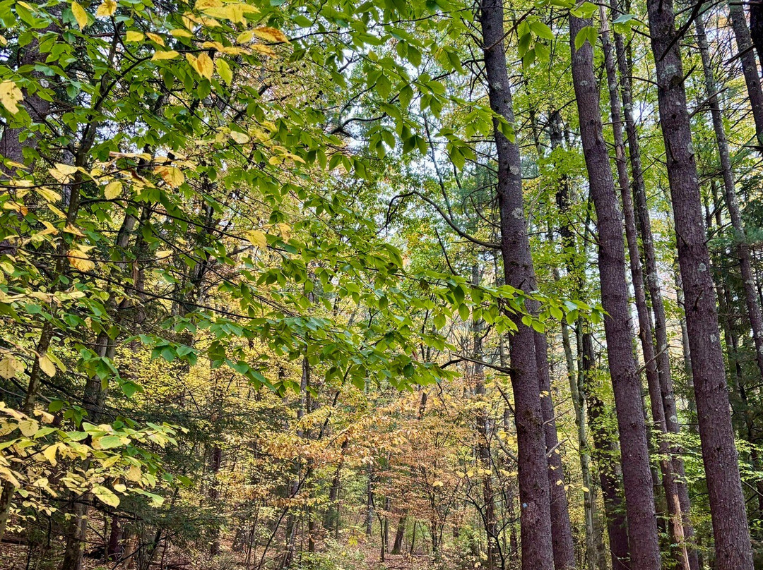 Farandnear Reservation-Shirley必去景点