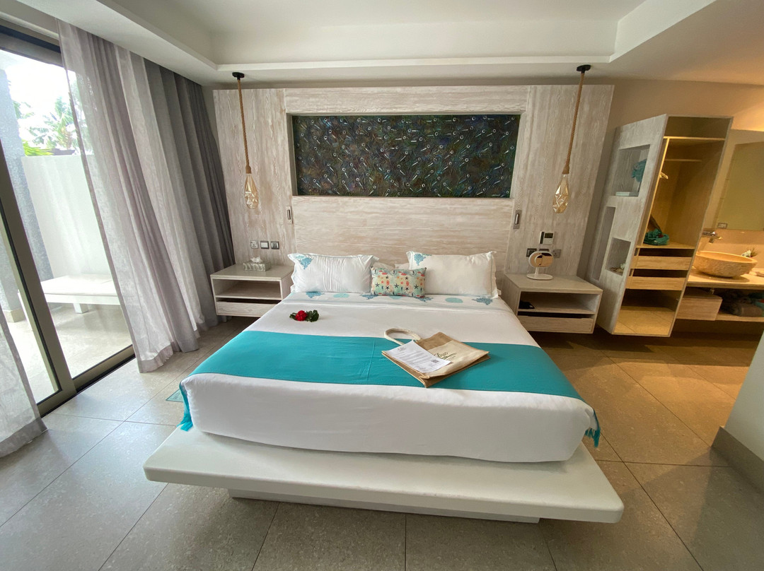 黎德迪普拉兰酒店主图