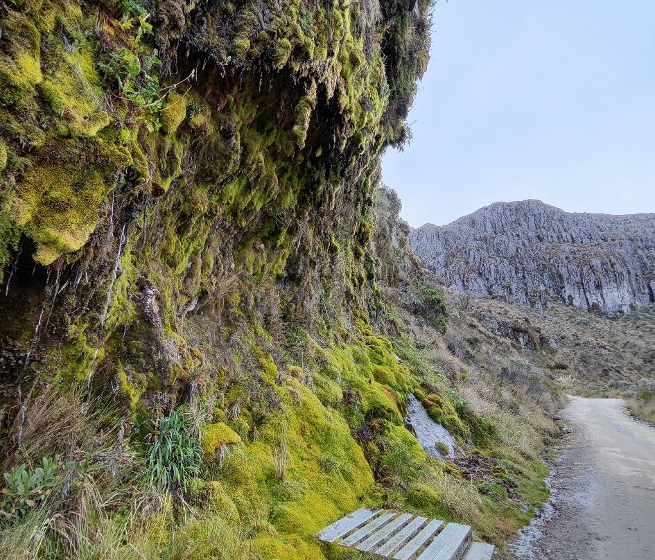 Caldas Ecotravel-Manizales必去景点
