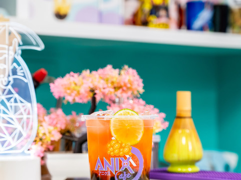 Anix Shop-塔林必去景点