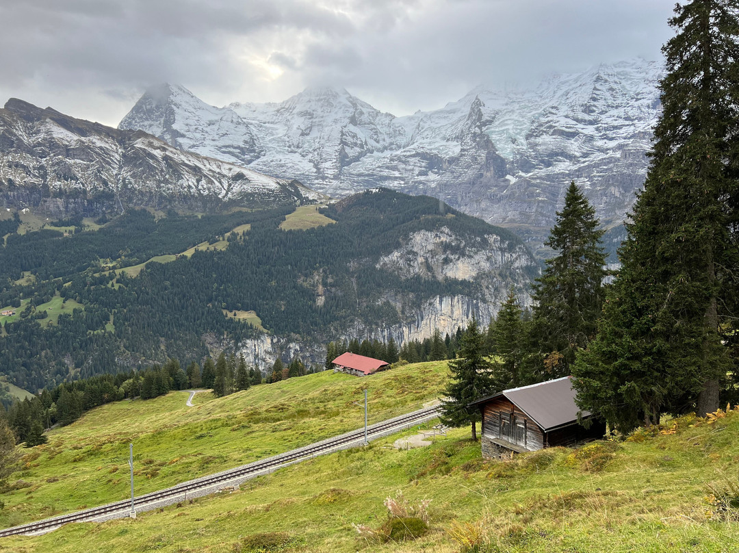 Grütschalp - Mürren Hiking Trail景点图片