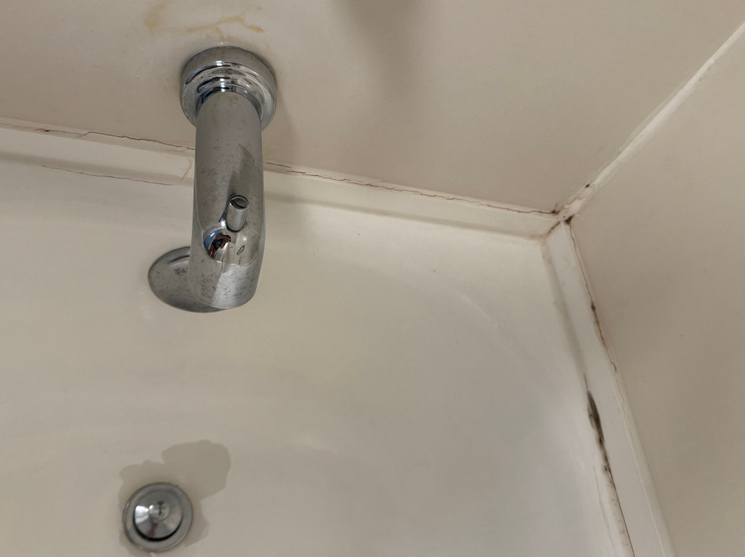 Holiday Inn Express Harrisburg NE by IHG主图