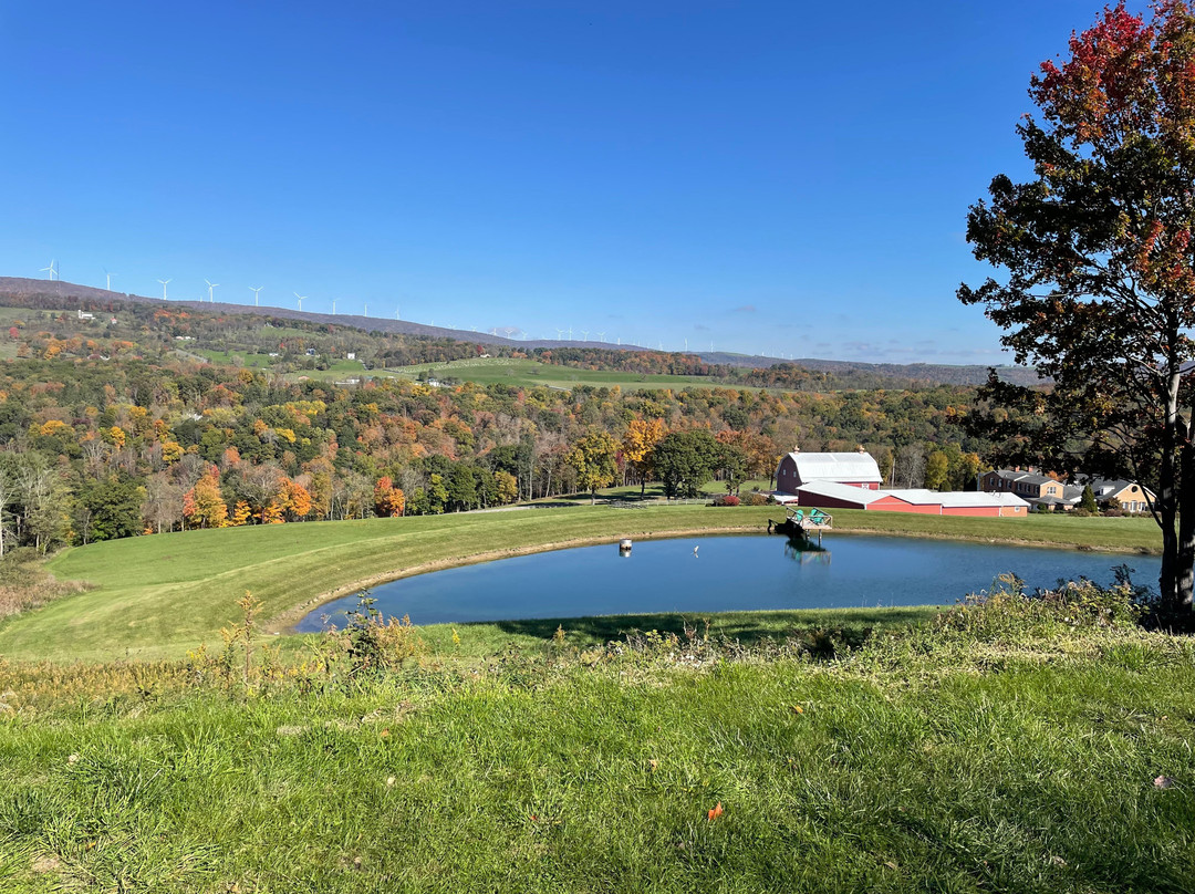 Great Allegheny Passage-Cumberland必去景点