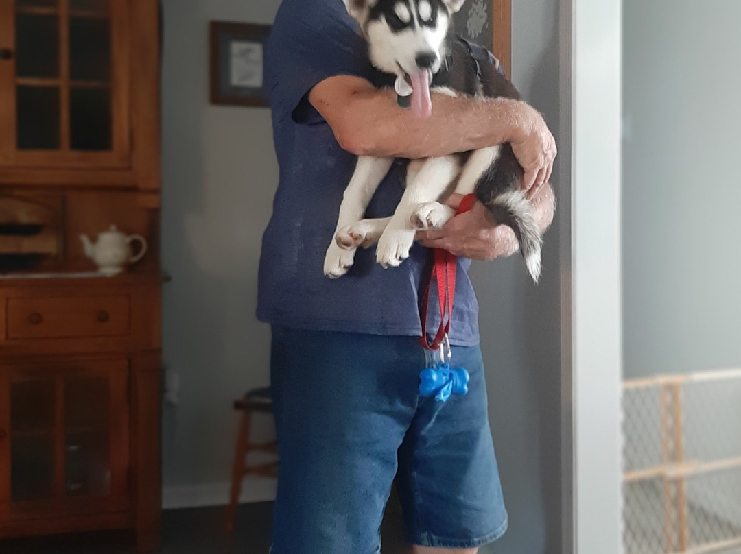 丹伯里万怡酒店主图